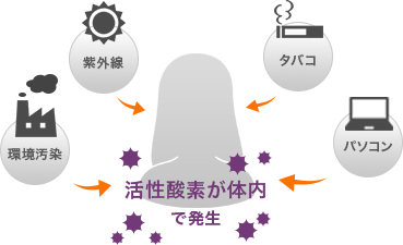 紫外線、タバコ、パソコン、環境汚染などが要因となり、活性酸素が体内で発生する様子を表した図解